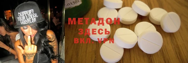 прущие грибы Александровское