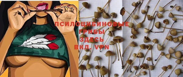 мет Кукмор