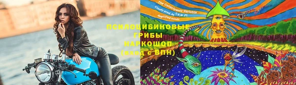 гидропоника Кулебаки